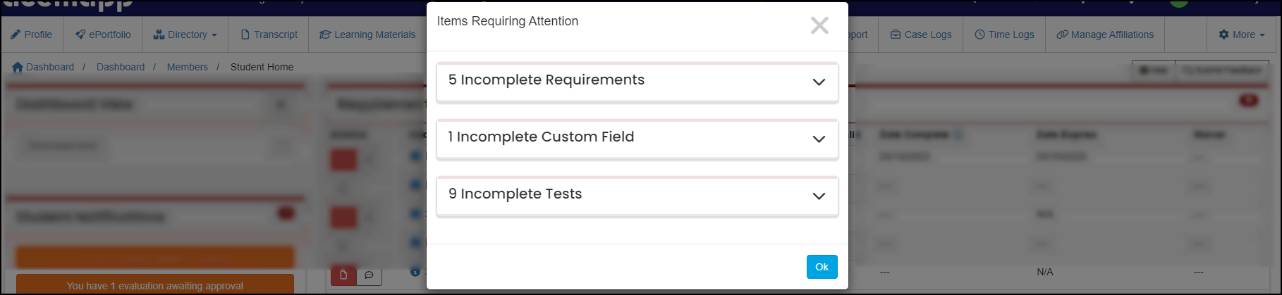 Items Requiring Attention pop-up example.
