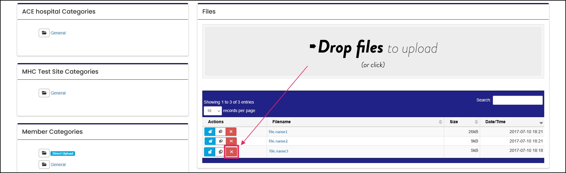 Uploaded files table highlighting delete button.