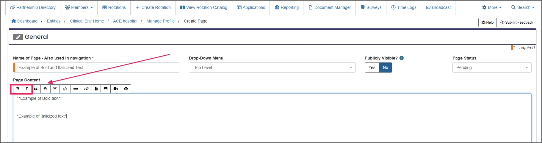 toolbar for bold and italicized text